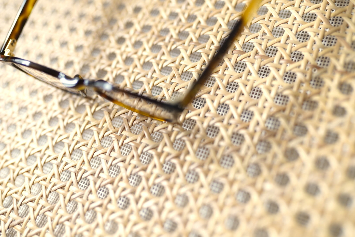 1940's Parisian パリジャン 芯なし セルフレームアイウェア 眼鏡 イエロートートイズ / frame france(フレームフランス)